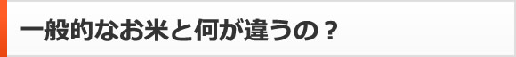 一般的なお米と何が違うの？