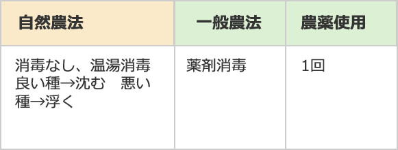 消毒なし、強い塩水選により種子選別 良い種→沈む　悪い種→浮く