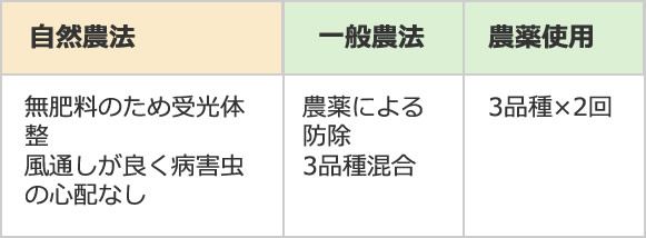 無肥料のため受光体整 風通しが良く病害虫の心配なし