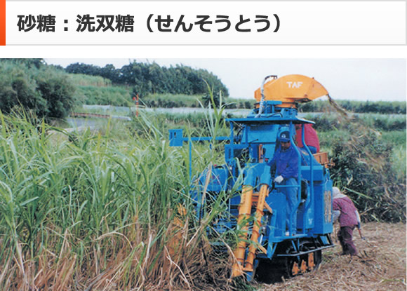砂糖：洗双糖（せんそうとう）