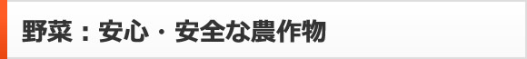野菜：安心・安全な農作物