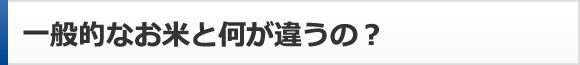 一般的なお米と何が違うの？