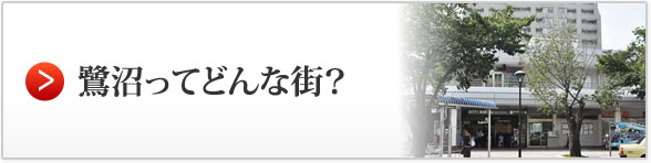 鷺沼ってどんな街？