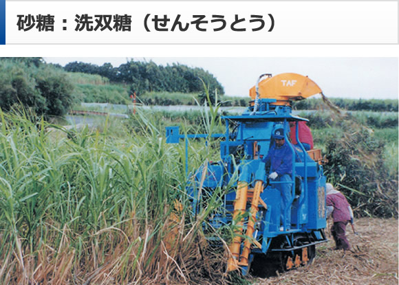 砂糖：洗双糖（せんそうとう）