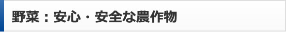 野菜：安心・安全な農作物