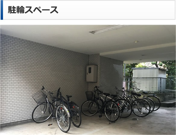 駐輪スペース