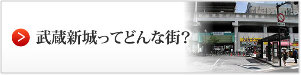 武蔵新城ってどんな街？